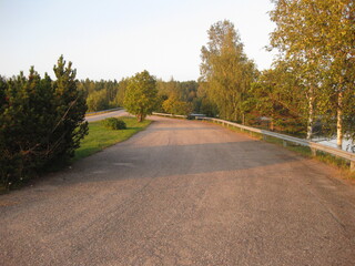 Road in the forest by the lake.