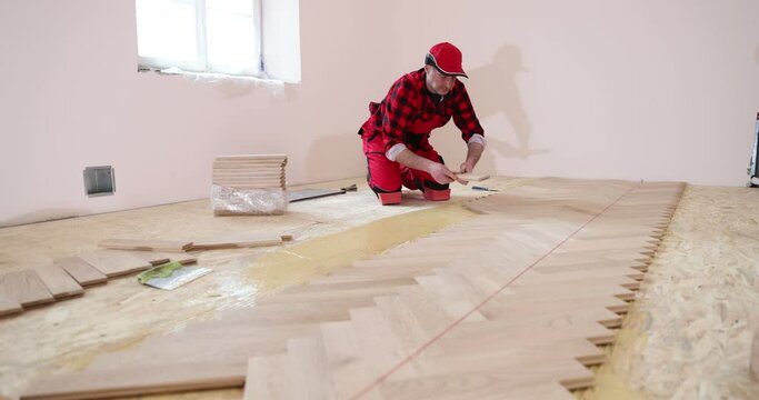 Man Installing Laminate Flooring. Laying parquet. Construction in a renovated room installation of parquet
