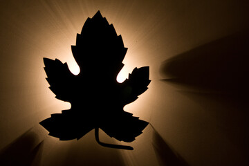 Backlight wall light