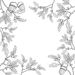 vector illustration oak branches with leaves and acorns,frame,border,black and white outline,doodle