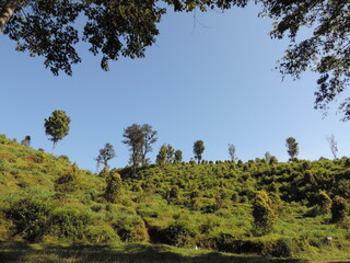 hill view photo with blue sky background