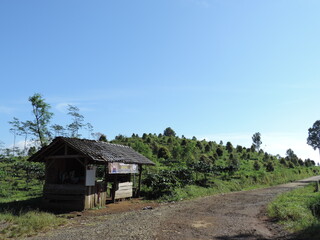 hill view photo with blue sky background