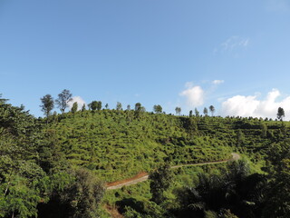 hill view photo with blue sky background