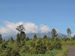 hill view photo with blue sky background