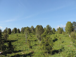 hill view photo with blue sky background