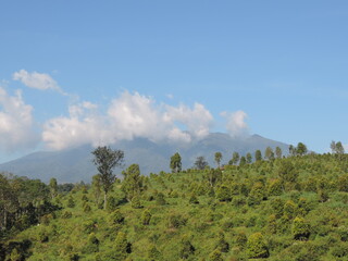 hill view photo with blue sky background