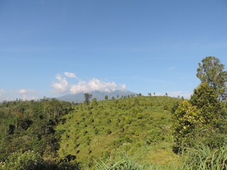 hill view photo with blue sky background