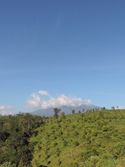 hill view photo with blue sky background