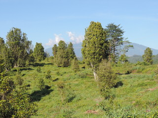 hill view photo with blue sky background