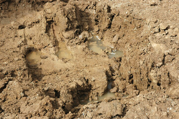 heaps of wet clay and puddles of water with traces of traffic