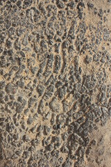 texture of the sand