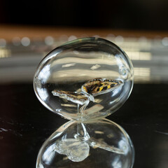 glass easter egg with butterfly inside on silver background