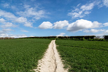 A Pathway Through Farmland in Sussex