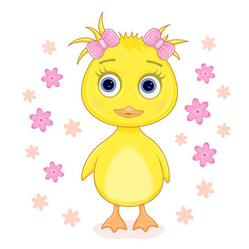 Vector illustration of a yellow duckling, chicken and flowers. Isolated on a white background.