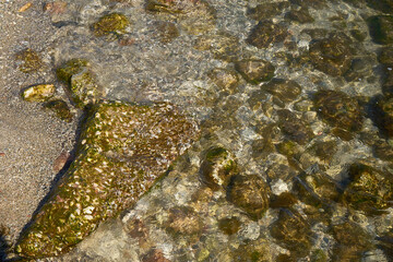 Sea water. Rocky seabed. Seaweed.