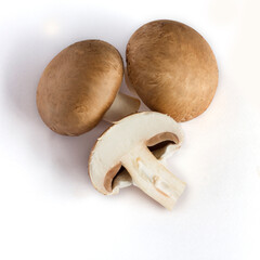 Raw royal mushrooms champignons isolated on white background. Cooking fresh champignons