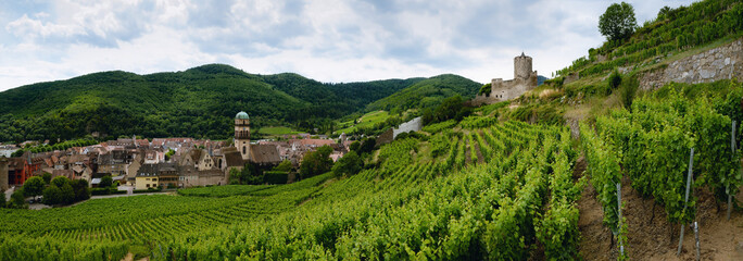Summer view between the vines of the vineyard of Keysersberg, famous winemaking village in Alsace, near Colmar (France) with the ruins of its medieval castle