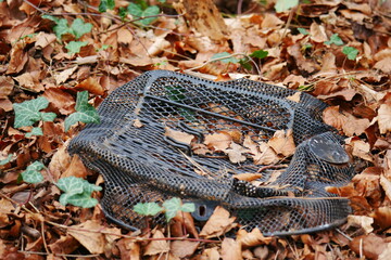 black broken crushed bicycle basket on a forest floor made of leaves and ivy