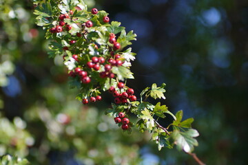 Schönes Mecklenburg-Vorpommern: Rund um Warin/Labenz