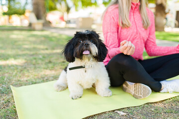 Woman exercising with her adorable small dog