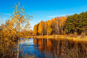 Obraz premium Beautiful autumn landscape with a pond covered with thin ice and trees on the shore with bright autumn foliage