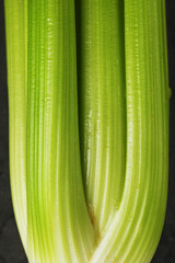Fresh celery stalks close-up as a full-screen texture.