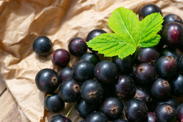 Paper background with many raw ripe sweet black currants and green leaf. Composition with black berries