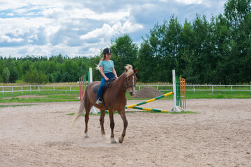 Young caucasian woman on horse back in countryside. Horseback riding as hobby in paddock on woods. Green trees forest field