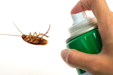 Cockroach spray with spray cans over white background.	