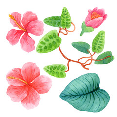 Watercolor set of pink and red tropical flowers and greenery
