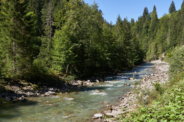 Wandern im sommerlichen mittleren Breitachtal