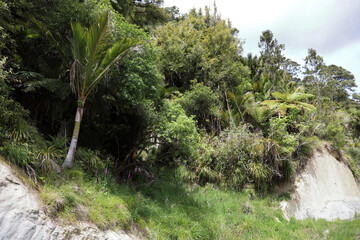 Fototapeta na wymiar Neuseeland Landschaft / New Zealand Landscape