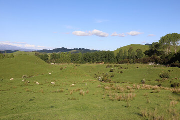 Fototapeta na wymiar Neuseeland - Landschaft / New Zealand - Landscape