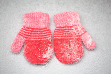 Red mittens in the winter forest. Frozen plants . Snow and snowflakes on the background.