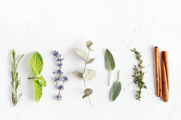 Ingredients for essential oils, floral and herbal sprigs