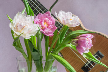 Fototapeta na wymiar A bouquet of beautiful tulips on a lilac background and a fragment of a musical instrument ukulele.