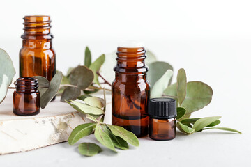 Aromatherapy for immune system and air purifier with eucalyptus leaves