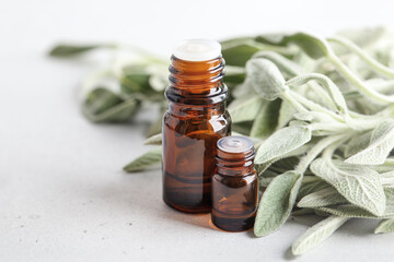Bottle of essential clary sage oil and fresh leaves.