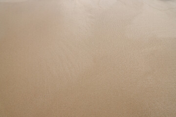 The texture of wet sand