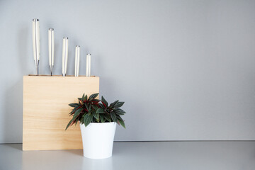 A set of knives with a white handle in a wooden stand and houseplant in a pot