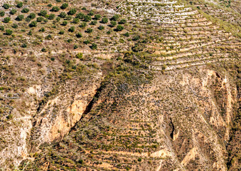 Forests Forest outside the city