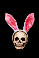 Human skull with pink Easter ears on a black background.