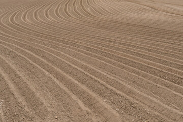 Sillons dans un champ