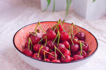 Young cherry lying in a red, pink plate standing on a tablecloth among the plants 