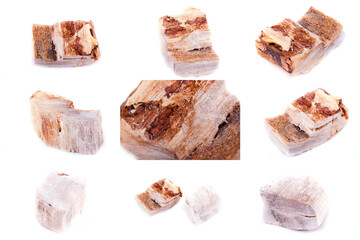 Collection of stone mineral Petrified wood