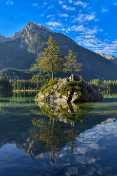 See, Hintersee, Ramsau, Berchtesgaden, Berchtesgadener Land, Malerwinkel, Ferchensee, Forchensee, Ramsauer Ache, Hochkalter,  Oberbayern, Wasser, Spiegelglatt, Spiegelbild, spiegeln, Oberfl&auml;che,  Somm