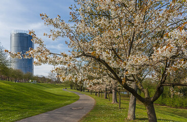 Der Rheinaue Park in Bonn im Frühling, Deutschland