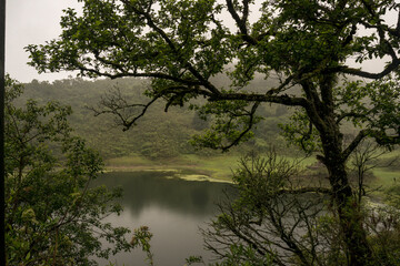 Naklejka premium it rains over the hidden lagoon