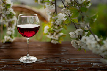 Wine Tasting Party in spring in the garden