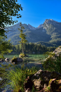 See, Hintersee, Ramsau, Berchtesgaden, Berchtesgadener Land, Malerwinkel, Ferchensee, Forchensee, Ramsauer Ache, Hochkalter,  Oberbayern, Wasser, Spiegelglatt, Spiegelbild, spiegeln, Oberfl&auml;che,  Somm